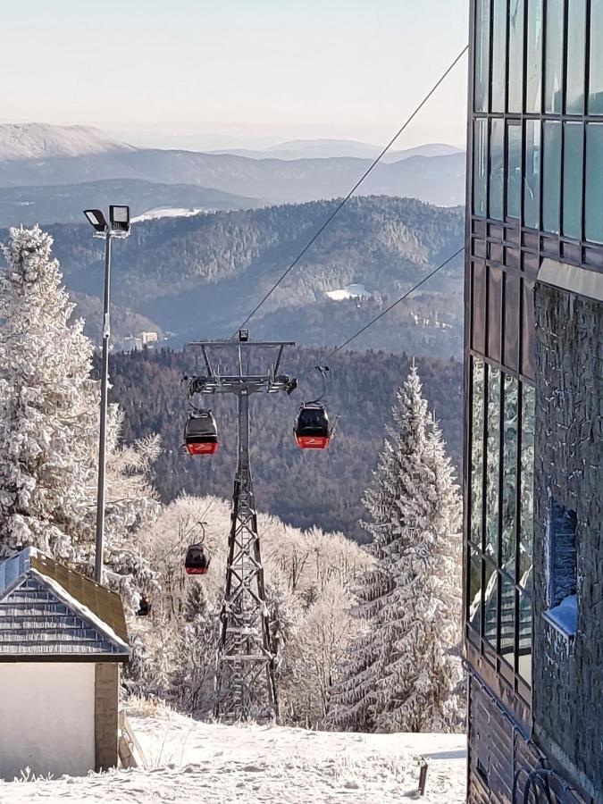 Rent Krynica-Zdrój
